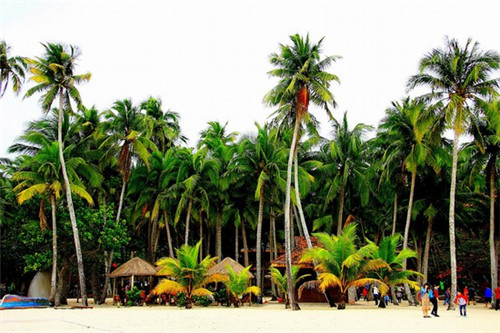 嗨皮羊冰煮羊火锅