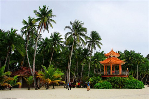 嗨哥铁板烧汁饭