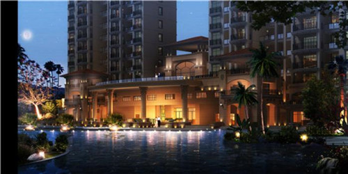 鱼头大大鱼头泡饭