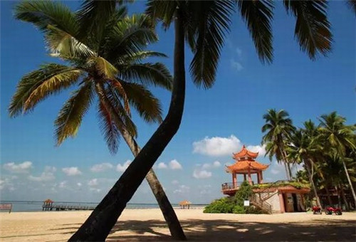 滇君鱼味锡纸包鱼、烤鱼