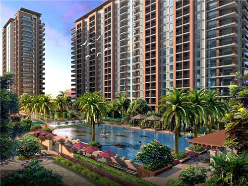 麦地初茶网红茶饮