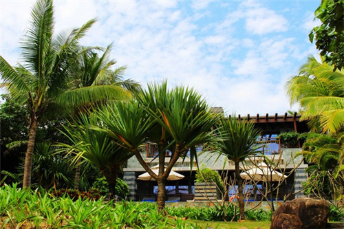 草原上怎么做奶茶店