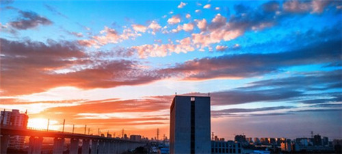 球队合影春节怎么拍（足球队合影怎么拍好看）