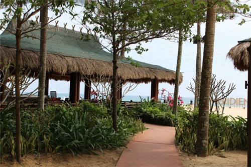 虾炒好了晚上吃可以吗（大虾昨天晚上炒的放了放冰箱早上还能不能吃）